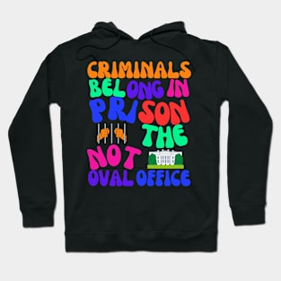 Criminals in Prison, Not the Oval Office! Hoodie